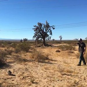 Meet your Posher, Toby